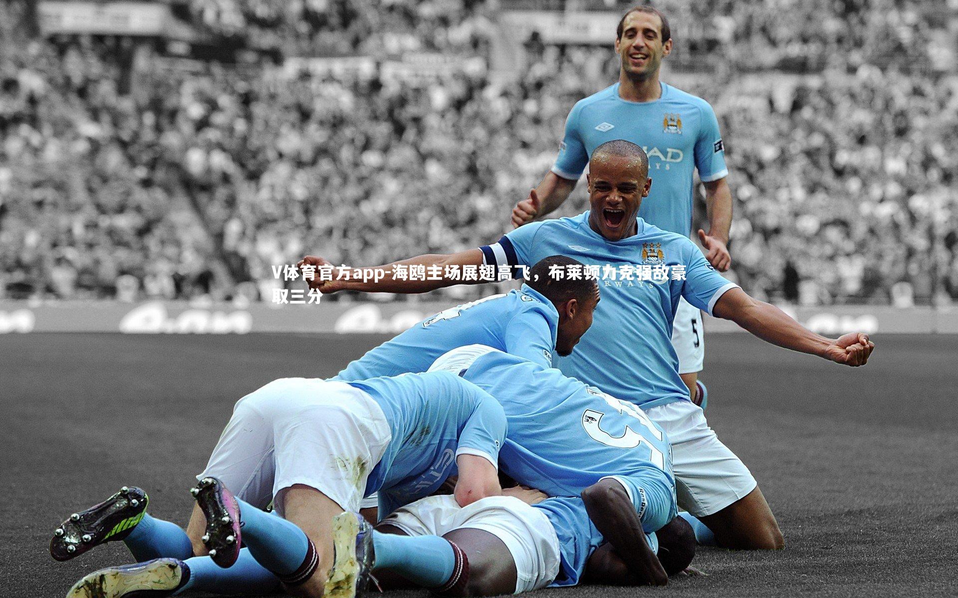 海鸥主场展翅高飞，布莱顿力克强敌豪取三分